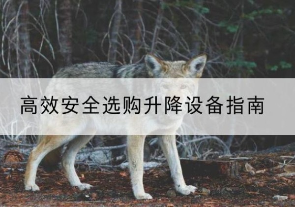 鄂温克升降货梯厂家推荐-*安全选购升降设备指南