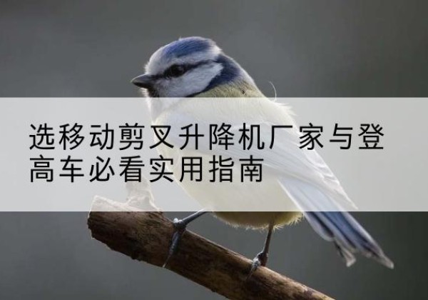 鄂温克电动升降机厂家-选移动剪叉升降机厂家与登高车必看实用指南