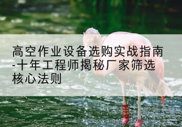 鄂温克剪叉式升降机厂家-高空作业设备选购实战指南-十年工程师揭秘厂家筛选核心法则